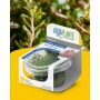 PLANTA N ROTALA SP CEYLON AP