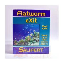 FLATWORM EXIT SALIFERT