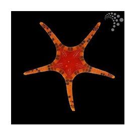 estrela mosaic iconaster 