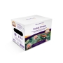AQUAFOREST ALGAE STRIKE 1 LITRO