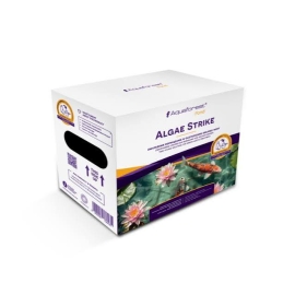 AQUAFOREST ALGAE STRIKE 1 LITRO