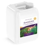 AQUAFOREST QUICKCLEAR 1 LITRO